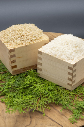 食品化学新聞TOP