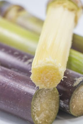 食品化学新聞TOP